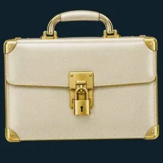 Locked leather briefcase — Winshark Casino